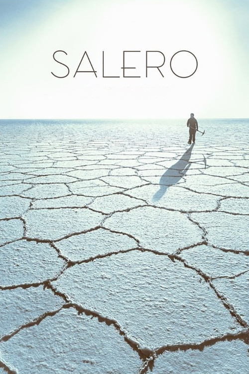 Movie poster for Salero (2015)