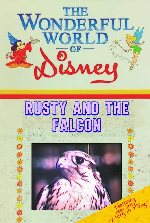 Movie poster for Rusty and the Falcon (1958)