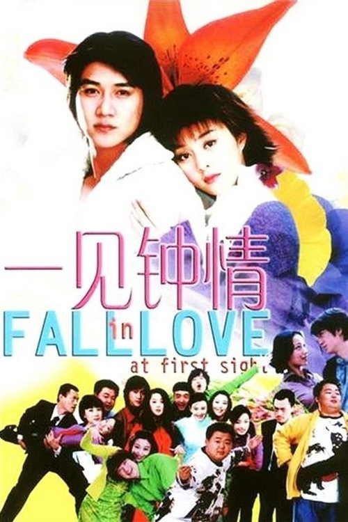 Movie poster for Fall in Love at First Sight (2002)