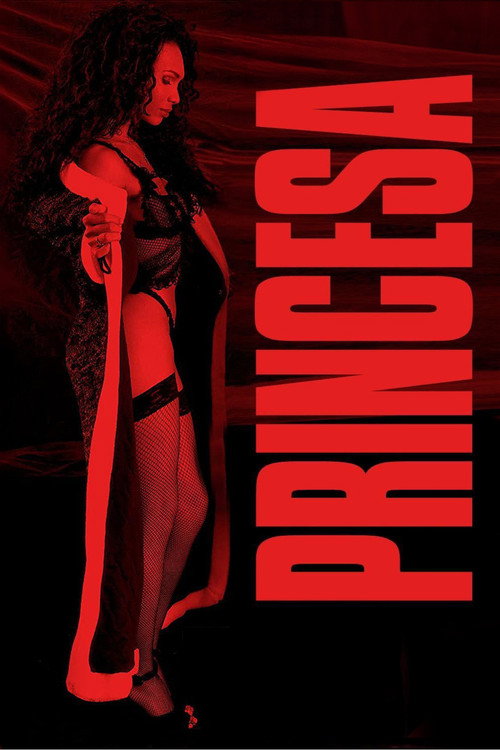Movie poster for Princesa (2001)