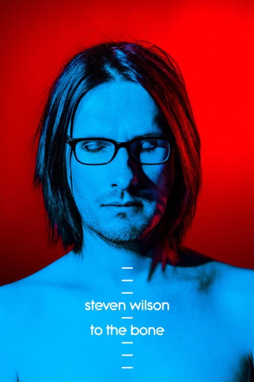 Movie poster for Steven Wilson: Ask Me Nicely - The Making of To The Bone (2017)