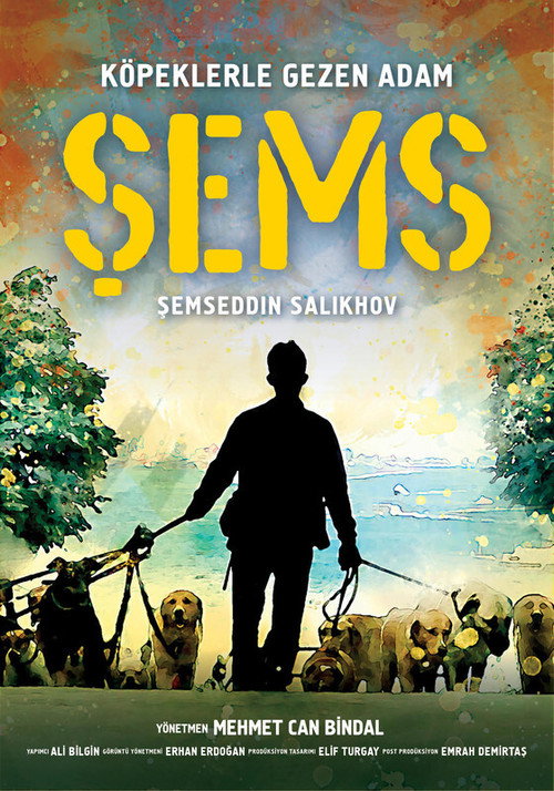 Movie poster for Şems (2020)