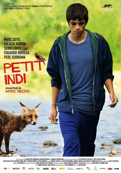 Movie poster for Little Indi (2009)