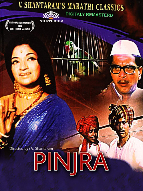 Movie poster for Pinjra (1972)