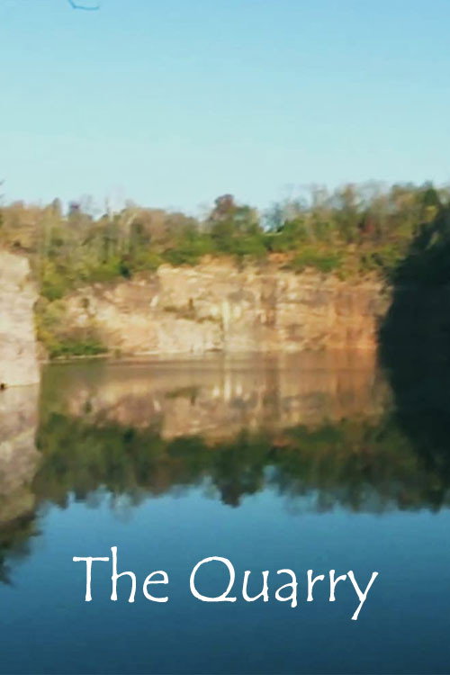 Movie poster for The Quarry (2011)
