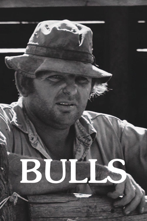 Movie poster for Bulls (2008)