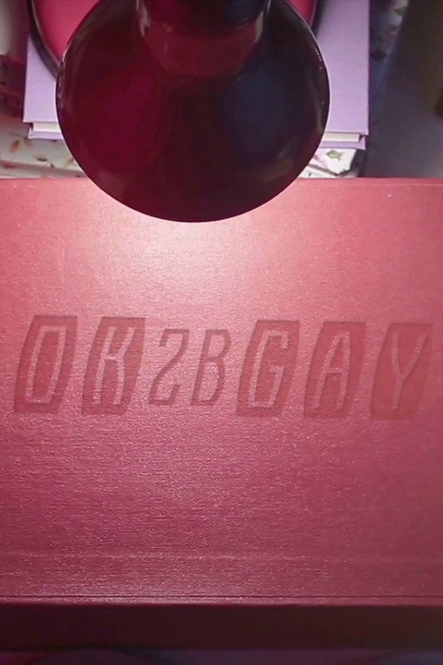 Movie poster for OK2BGAY (2016)