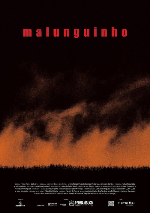 Movie poster for Malunguinho (2013)