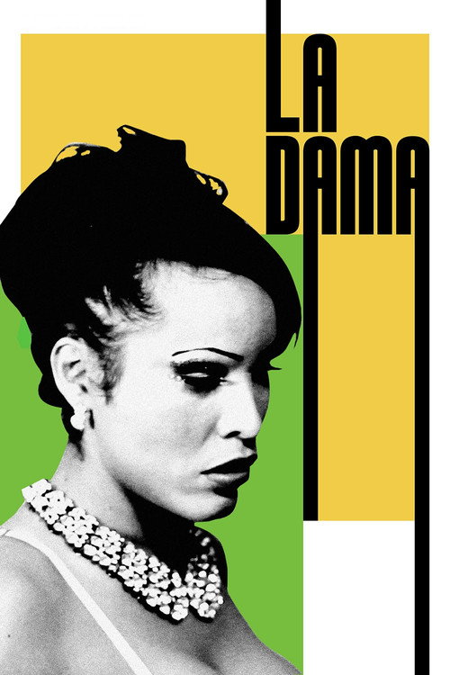 Movie poster for La dama (2024)
