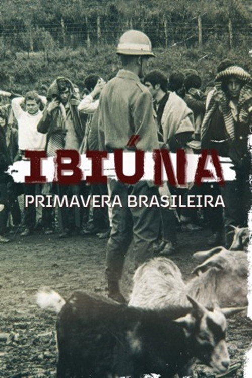 Movie poster for Ibiúna, Primavera Brasileira (2019)