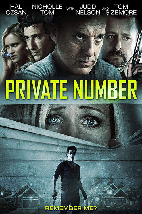 Movie poster for Private Number (2015)