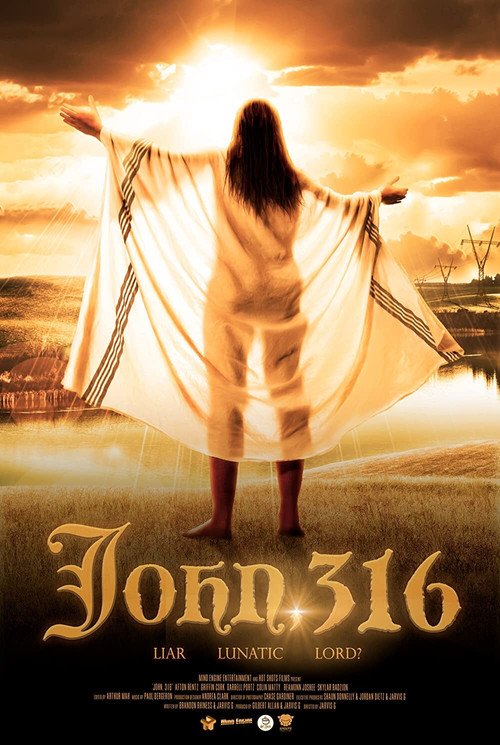 Movie poster for John, 316 (2021)