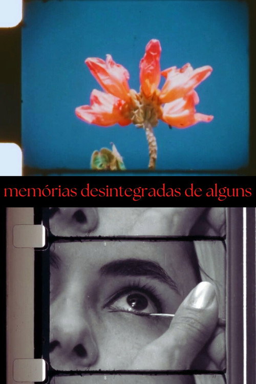 Movie poster for Disintegrated Memories of Some (2024)