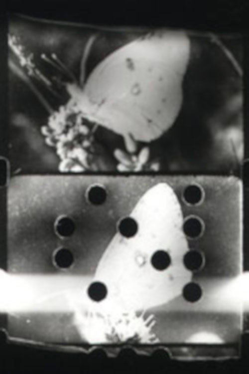 Movie poster for Flutter (1993)