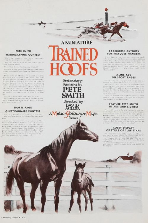 Movie poster for Trained Hoofs (1935)
