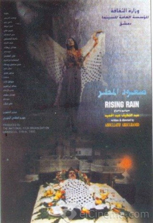 Movie poster for Rising Rain (1995)