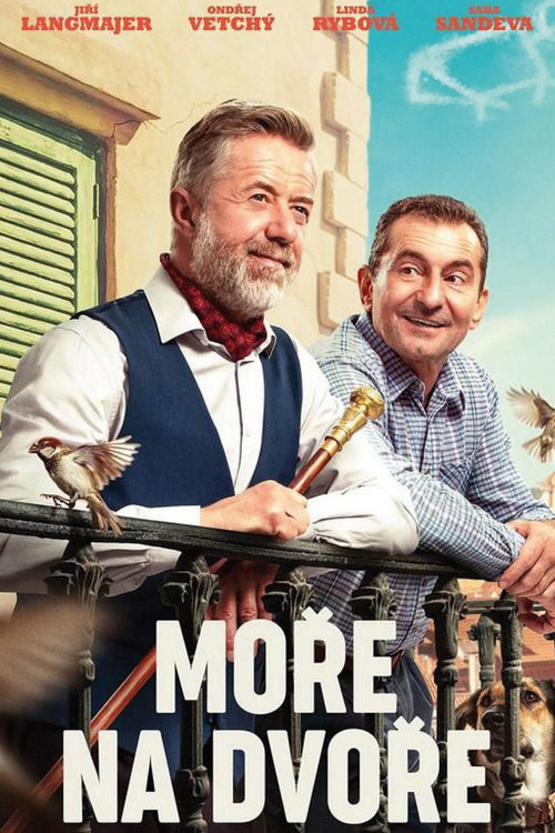 Movie poster for Sea of Hope (2025)
