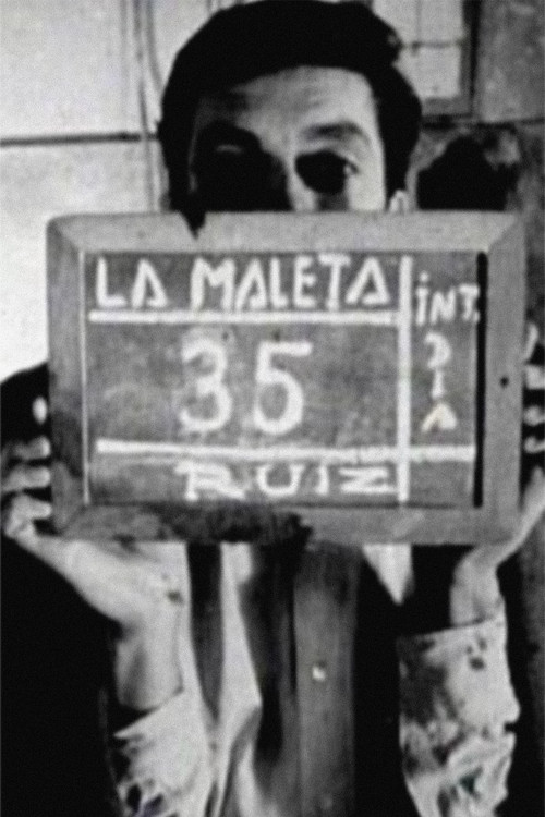 Movie poster for The Suitcase (2008)