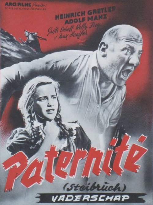 Movie poster for Steibruch (1942)