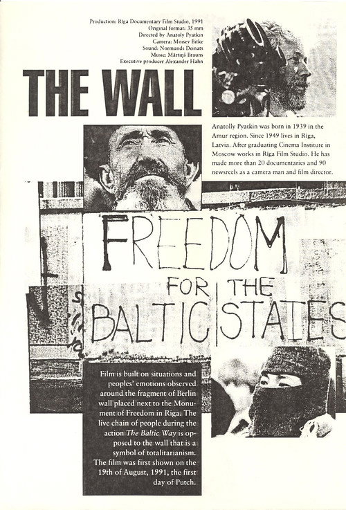 Movie poster for The Wall (1991)