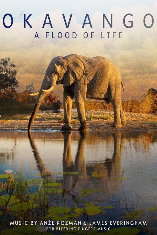 Movie poster for Okavango: A Flood of Life (2021)
