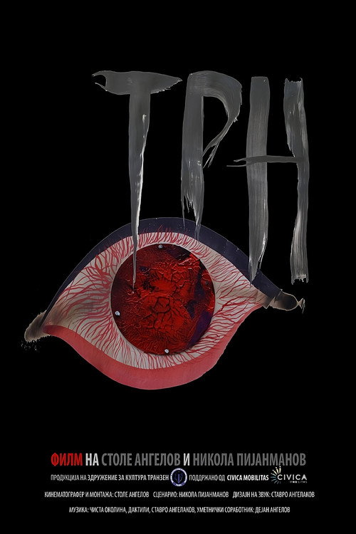 Movie poster for Thorn (2022)