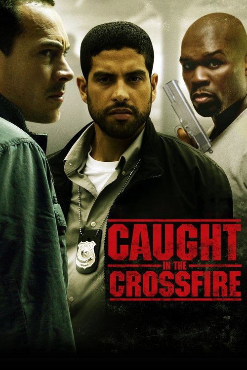 Movie poster for Caught in the Crossfire (2010)