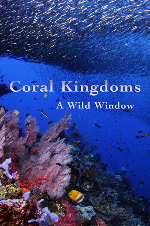 Movie poster for A Wild Window: Coral Kingdoms (2016)