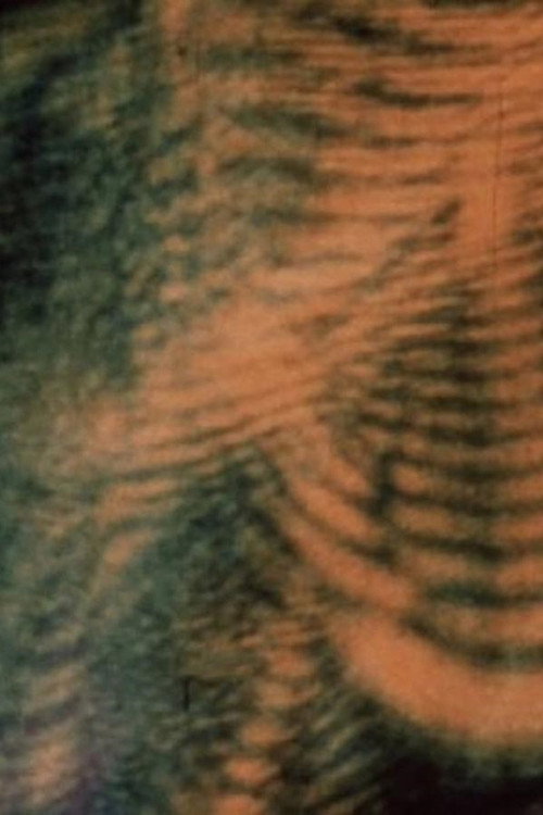 Movie poster for Laserimage (1972)