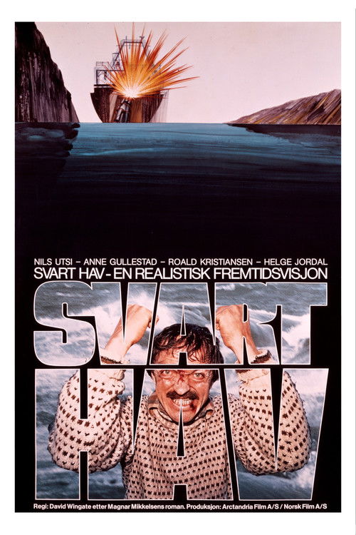 Movie poster for Svart hav (1980)