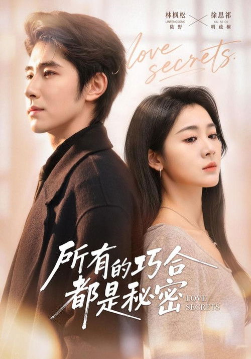 所有的巧合都是秘密 poster