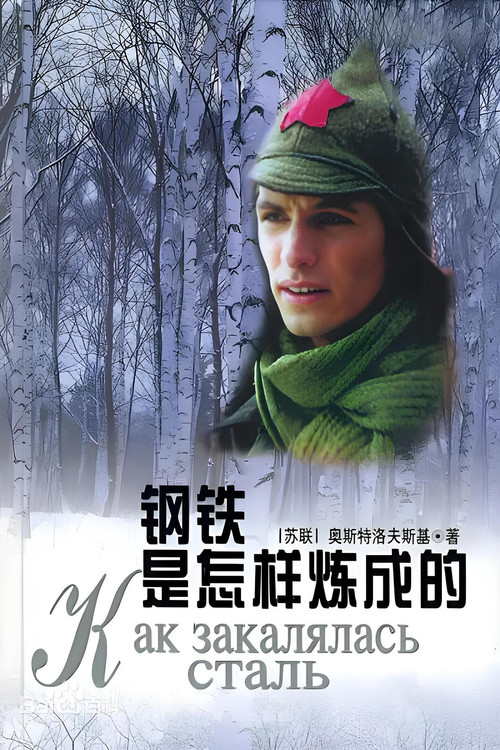 钢铁是怎样练成的 poster