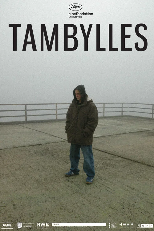 Movie poster for Tambylles (2012)