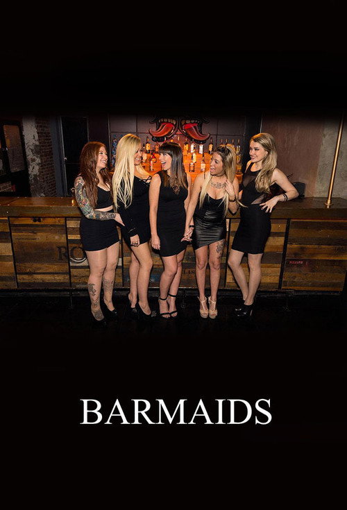 Series poster for Barmaids (2017)
