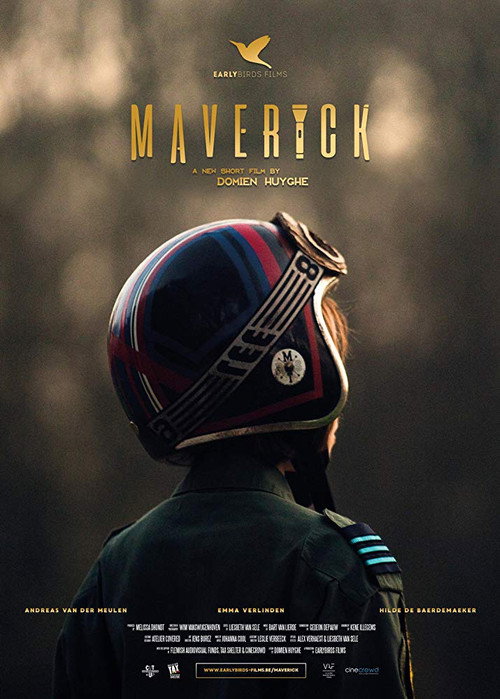 Movie poster for Maverick (2017)