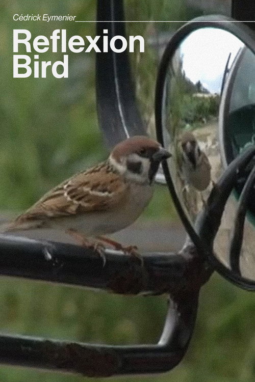 Reflexion bird poster