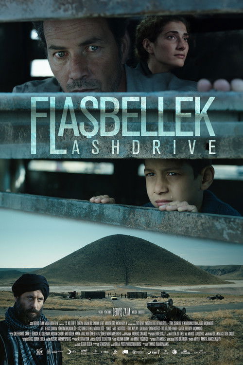 Movie poster for Flashdrive (2020)