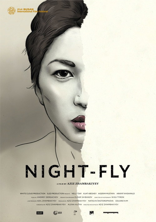 Movie poster for Night-Fly (2016)