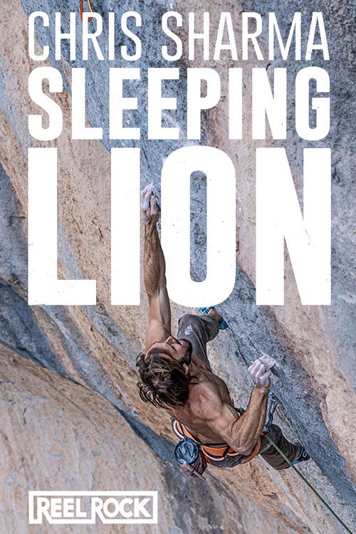 Movie poster for Sleeping Lion (2023)