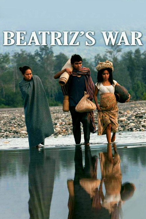Movie poster for Beatriz's War (2013)
