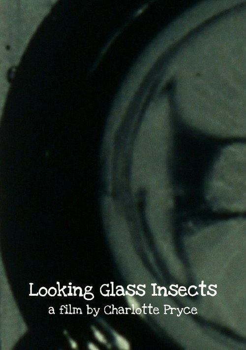 Movie poster for Looking Glass Insects (2013)