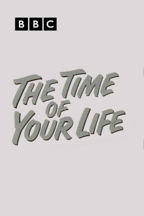 Time of Your Life poster