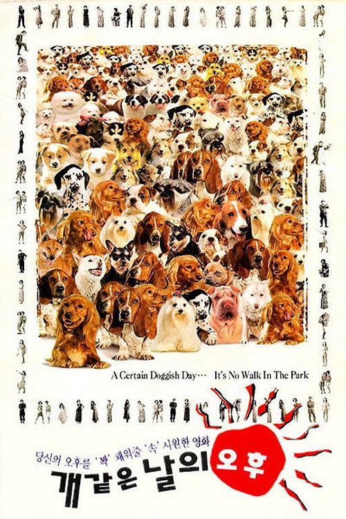 Movie poster for A Hot Roof (1995)