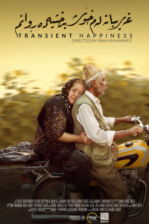 Movie poster for Transient Happiness (2023)