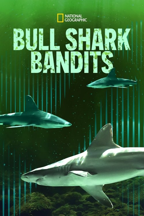 Movie poster for Bull Shark Bandits (2023)