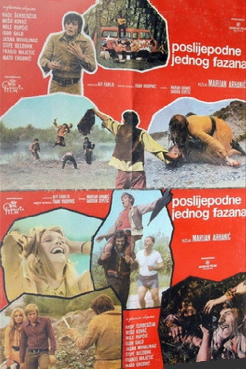 Movie poster for Afternoon of a Pheasant (1972)
