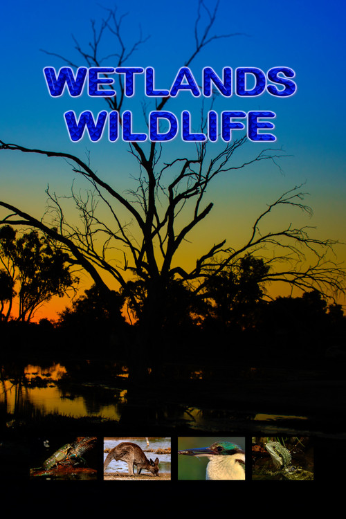 Movie poster for Wetlands Wildlife (2022)