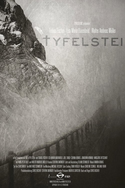 Movie poster for Tyfelstei (2014)