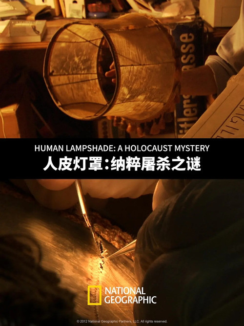 Movie poster for Human Lampshade: A Holocaust Mystery (2012)