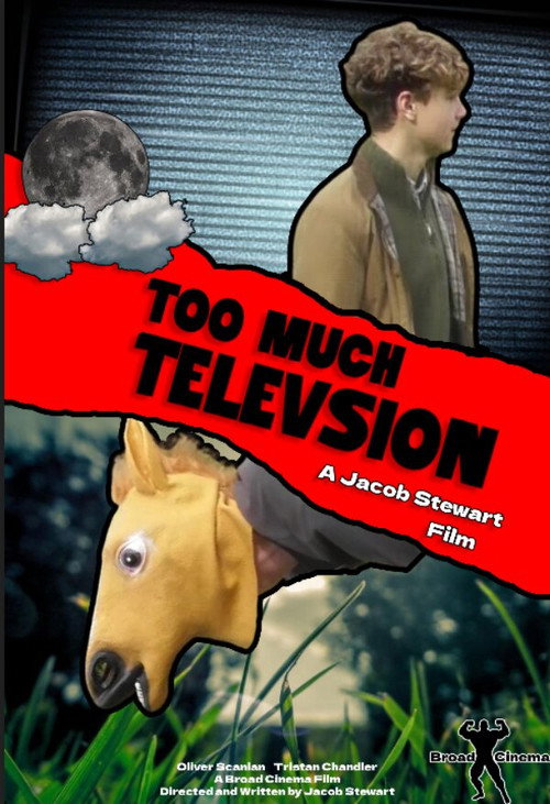 Movie poster for Too Much Television (2025)